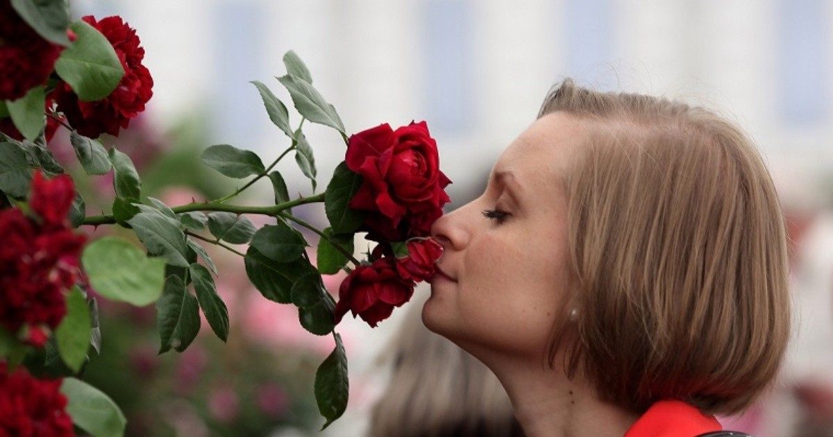 ¿En cuánto tiempo se recupera el olfato después del Covid19? Rosario3