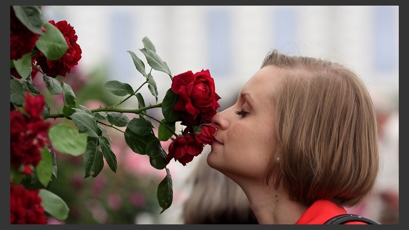 2010 Chelsea Flower Show Is Opened To The Public