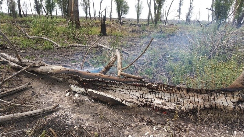 Restos de madera aún humeantes, que en horas de la mañana de este sábado incluso seguían ardiendo en algunas partes.