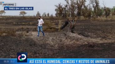 El Tres pisó la tierra arrasada por el fuego.