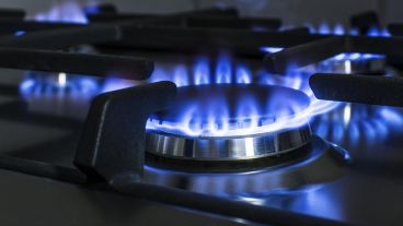 La estrategia del gobierno es utilizar los datos de Anses para realizar un mapeo de los usuarios para poder diferenciar entre los que pueden y los que no pueden pagar.