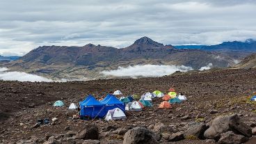 El diente de este pequeño mamífero se logró en una expedición en marzo de 2020