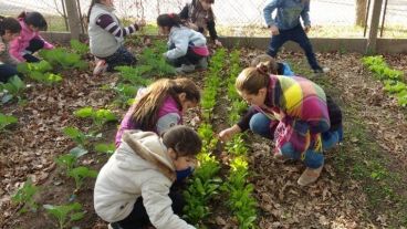 Huertas comunitarias def