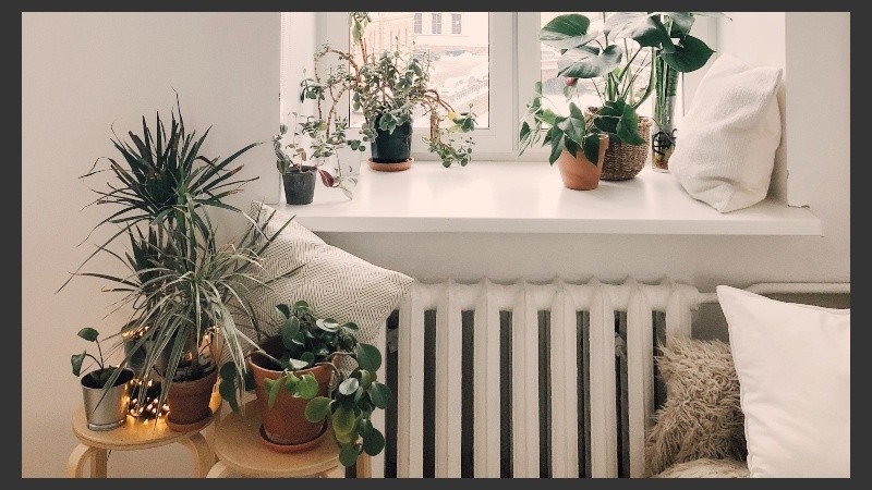 Decoración de interiores 2021