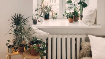 Decoración de interiores 2021