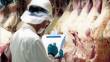 Desde Senasa remarcaron que lo que se encontró en los empaques es ácido nucleico, es decir, el residuo que deja el coronavirus.