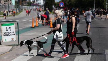 En un domingo a pleno sol, miles de rosarinos volvieron a disfrutar de la Calle Recreativa.