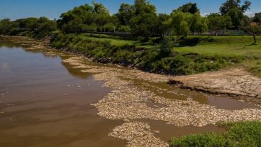 La problemática se advirtió principalmente en el río Salado.