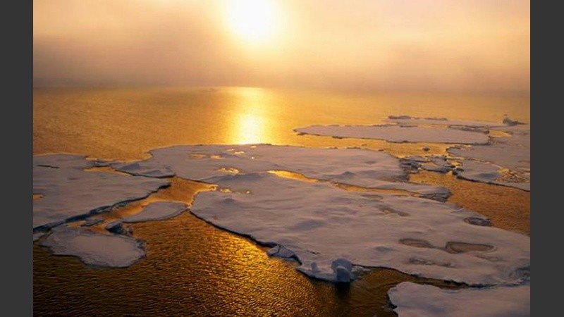 Los modelos predicen que no habrá más hielo marino en verano entre 2040 y 2060