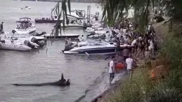 Las nuevas imágenes fueron tomadas este sábado en el mismo parador de la semana pasada.