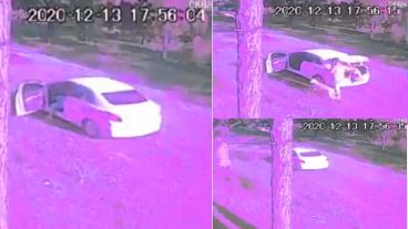 La secuencia del abandono de los perros.