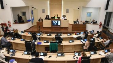 Un informe sobre la producción del Concejo en este año de pandemia.