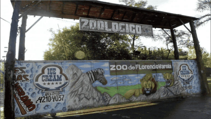 El 10 de abril del 2007, apenas 3 meses después de su cambio de función y con 19 años, fue a alimentar a “Ramón”, sola, sin ropa de seguridad y sin handy ni silbato.