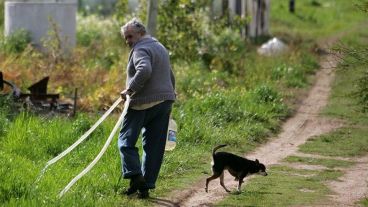 Pepe Mujica en su chacra con la perrita Manuela