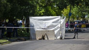 Lituania al 5600, la zona del macabro hallazgo.