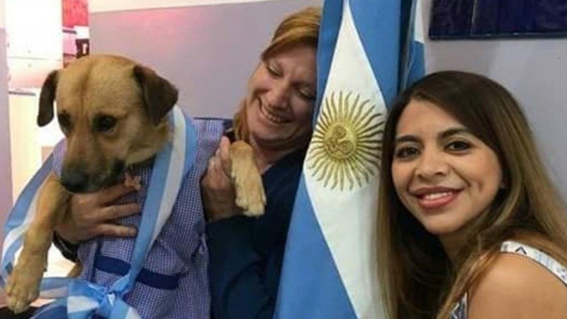 Desde la institución decidieron ponerle un pintorcito a “Fatiga” para que esté vestido acorde a la ocasión.