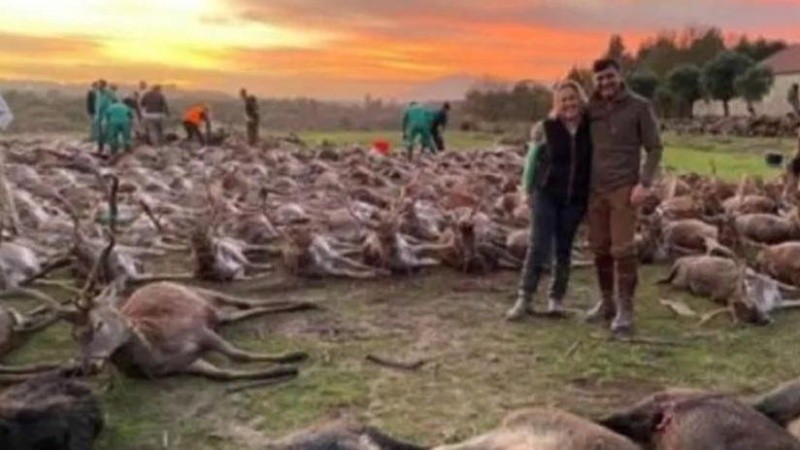 La polémica saltó después de que algunos de los 16 cazadores españoles que participaron en la cacería difundieron imágenes posando con los cadáveres