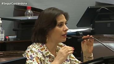 Lucila Crexell decidió apoyar la legalización del aborto.