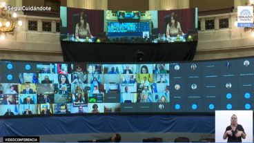 La sesión maratónica concluyó con la aprobación del Plan de los 1.000 Días de asistencia a niños y niñas.