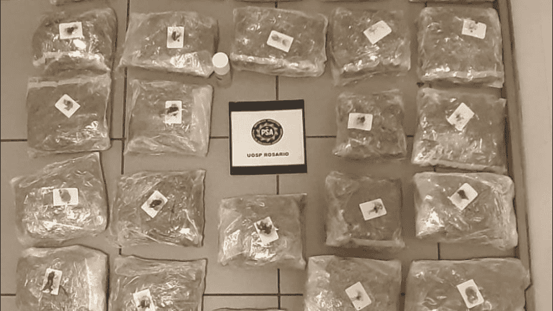 Los procedimientos fueron autorizados por el juez Federal Nº 3, Carlos Vera Barros.