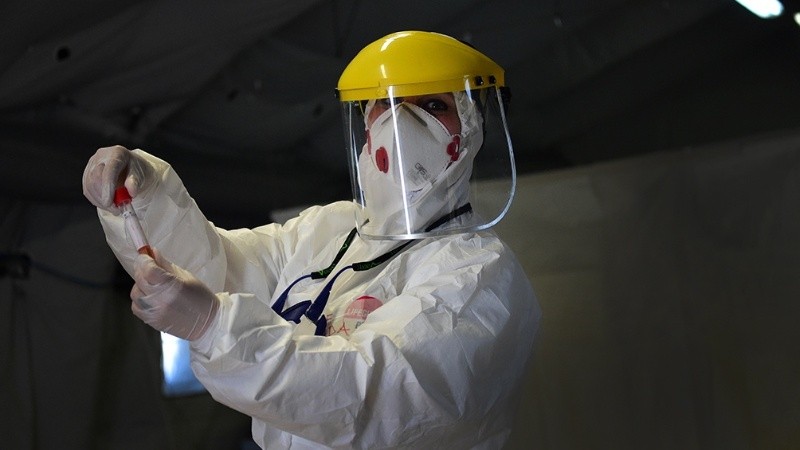 Temen que la mafia las venda en el mercado negro.