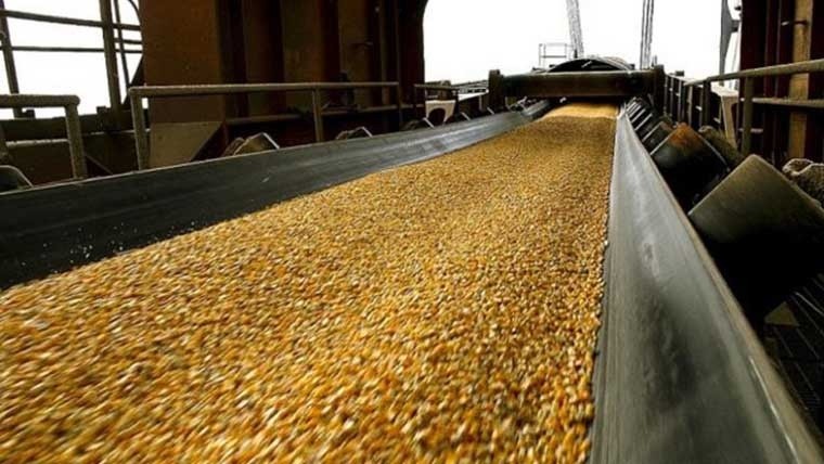 Porto paranaense foi o segundo mais usado para a exportacão de milho. Embarques do grão por Paranaguá aumentaram quase 50%.Foto: Divulgacão APPA