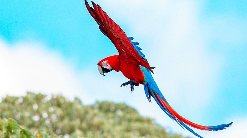 Está permitido pernoctar en hosterías ubicadas en área.