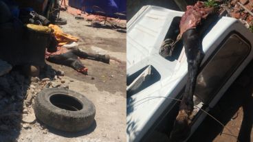 Las partes encontradas en el operativo policial.