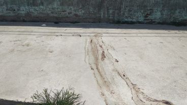 El crimen ocurrió durante la madrugada en Garibaldi al 200.