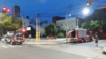 La zona del hallazgo.