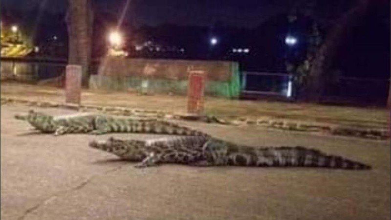 La organización civil llamada 