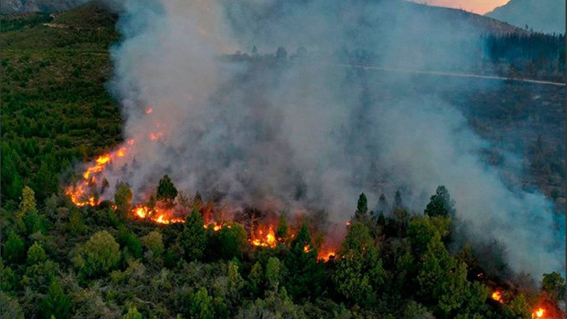 El fuego ya consumió 8 mil hectáreas en Neuquén. 