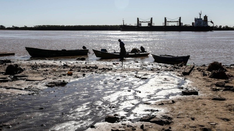 El ecocidio en las islas, la bajante del río, la sequía, la ola de calor; Rosario sabe de cambio climático.