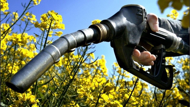 Una ley trabada en Diputado genera mucha preocupación en las fábricas de biodiesel, en su mayoría instaladas en Santa Fe