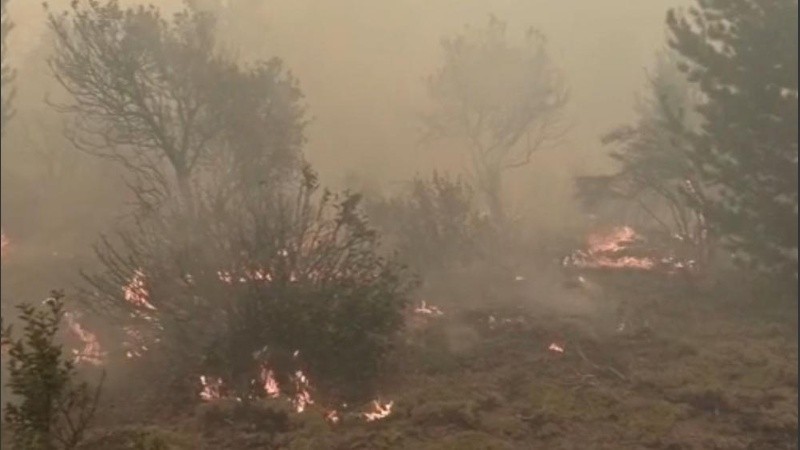 En Chubut y La Pampa el fuego se encontraba controlado.