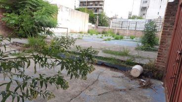 Las escuelas deben volver a las actividades presenciales en pocos días.