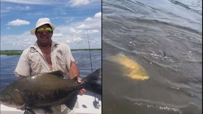 A simple vista parecía un pacú enorme.