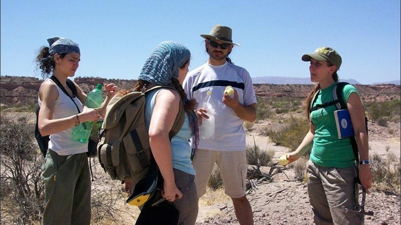 El equipo de investigadores bautizó esta nueva especie como Elorhynchus carrolli.