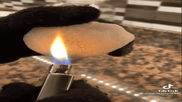 "Sin agua, sin goteo, sin nada".