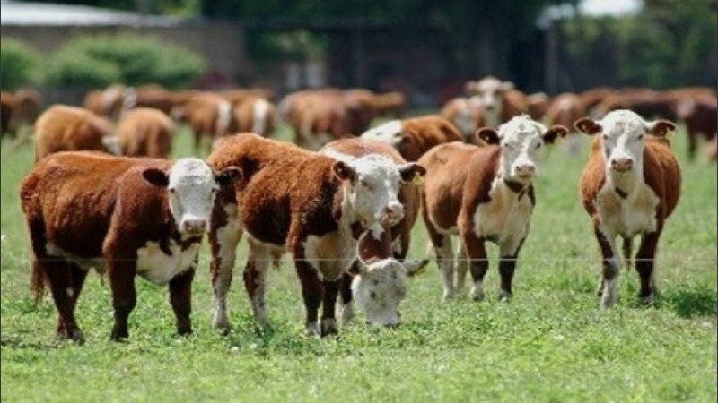 La detención se produjo en la localidad de Vera