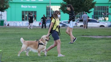 A la fecha hay 80 internados en terapia intensiva con covid-19.
