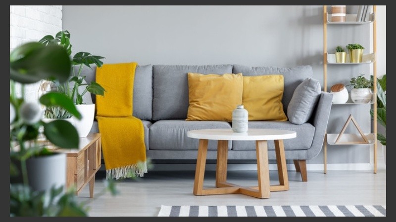 Colores y elementos que harán que tus ambientes cambien completamente