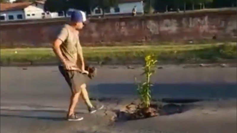 El joven plantando el arbolito en la transitada avenida de Granadero Baigorria