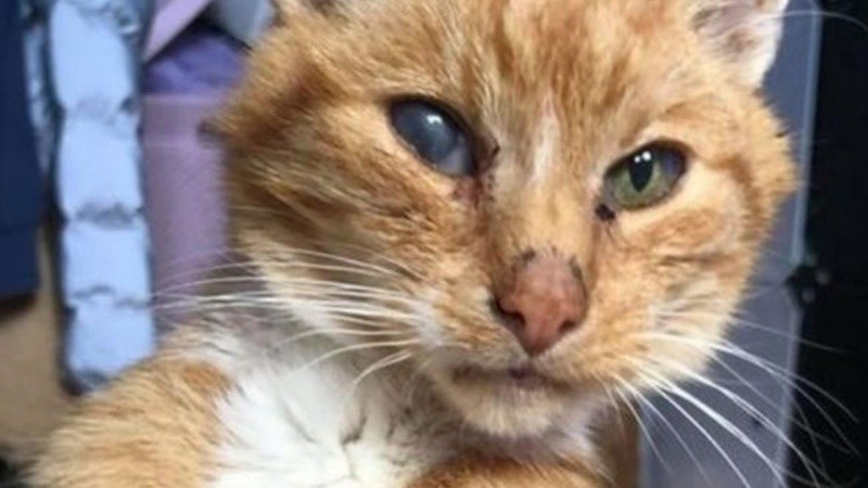 La familia recibió con alegría a Dave tras 10 años de no verlo.