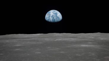 Aseguran que es una forma de preservar las especies ante una eventual catástrofe.