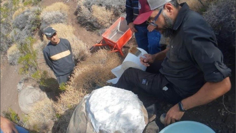 La antigüedad de los fósiles hallados sería de 140 a 145 millones de años.