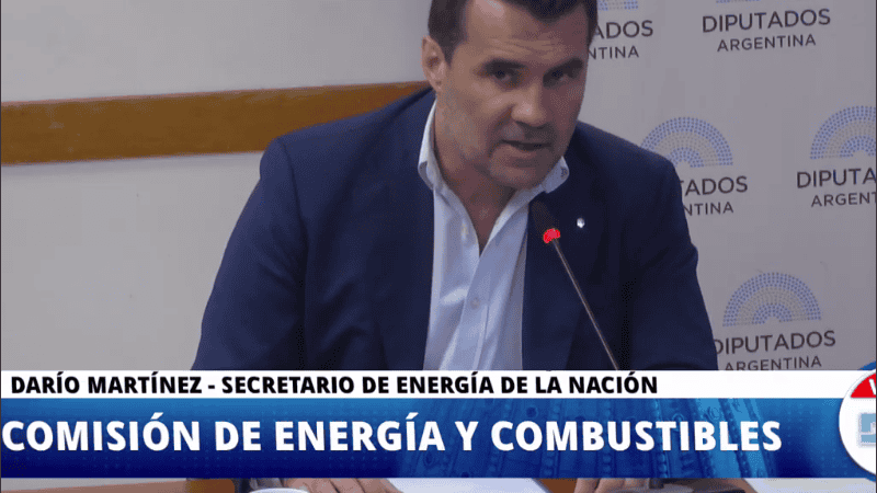 El secretario de Energía de la Nación, Darío Martínez, expuso el lunes en Diputados.