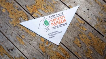  Todo el material generado en las redes sociales, será recopilado en el sitio Plantamosmemoria.com.ar .