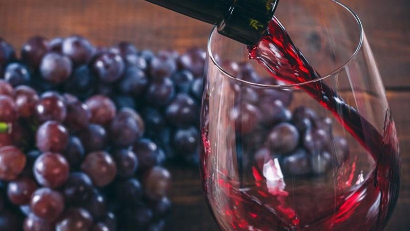 El ácido tánico generado en el vino tinto, se encuentra además con frecuencia enplantas herbáceas y leñosas, legumbres, sorgo, así como en frutas como frambuesas, plátanos y caquis.
