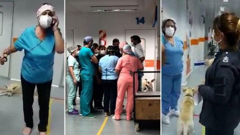 Según las versiones de la policía es que la profesional los había recibido “de forma agresiva y se habría abalanzado sobre la efectiva”. 